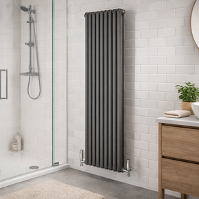 Bathroom with a shower, radiator vertical tall oval panel standing heat